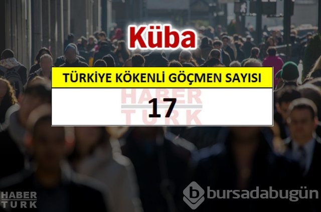 Hangi ülkede kaç Türk yaşıyor?