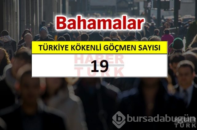 Hangi ülkede kaç Türk yaşıyor?