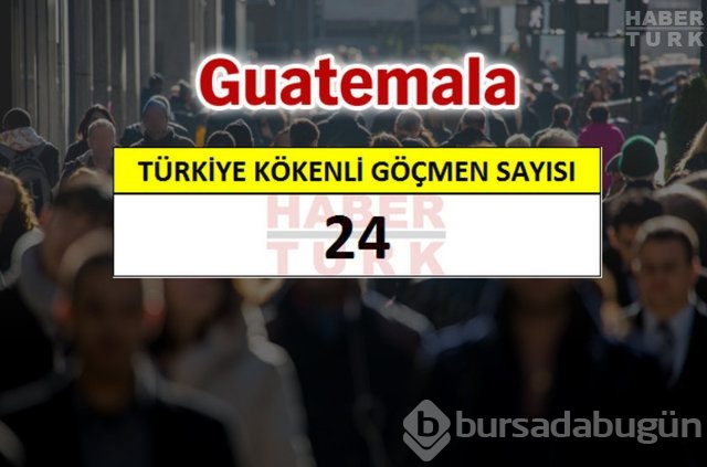 Hangi ülkede kaç Türk yaşıyor?