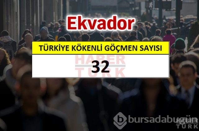 Hangi ülkede kaç Türk yaşıyor?