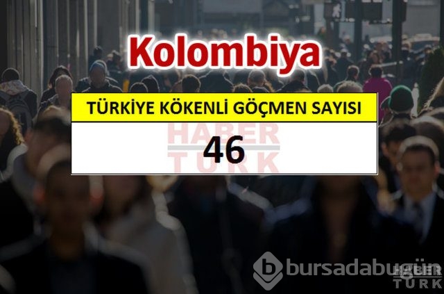 Hangi ülkede kaç Türk yaşıyor?