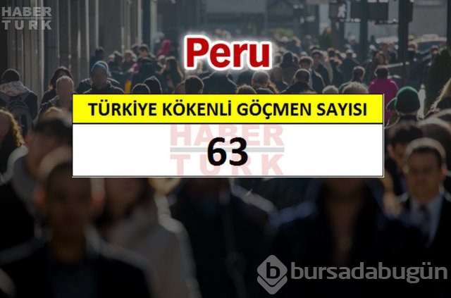 Hangi ülkede kaç Türk yaşıyor?