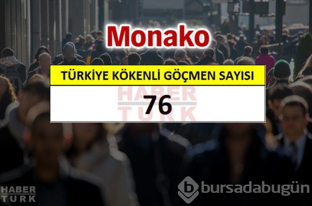 Hangi ülkede kaç Türk yaşıyor?