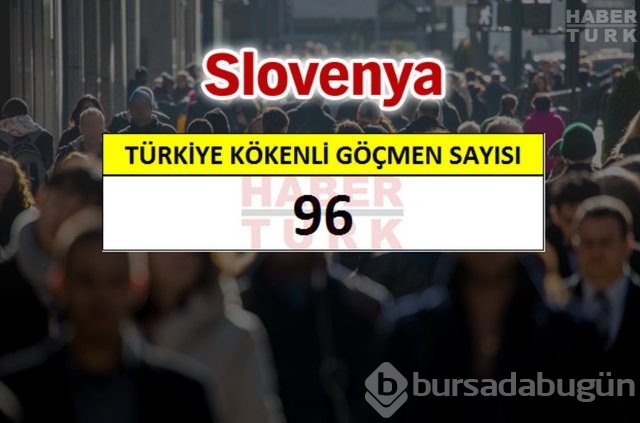 Hangi ülkede kaç Türk yaşıyor?
