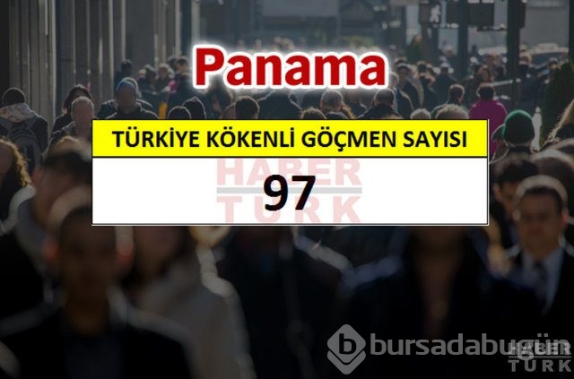 Hangi ülkede kaç Türk yaşıyor?