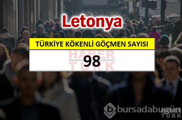Hangi ülkede kaç Türk yaşıyor?
