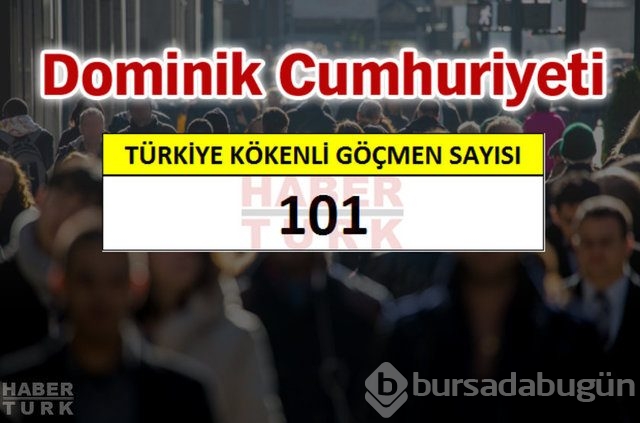 Hangi ülkede kaç Türk yaşıyor?
