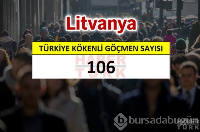 Hangi ülkede kaç Türk yaşıyor?