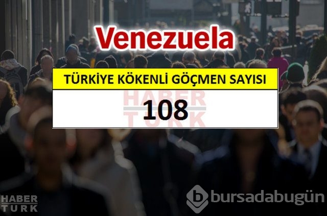 Hangi ülkede kaç Türk yaşıyor?