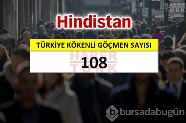 Hangi ülkede kaç Türk yaşıyor?