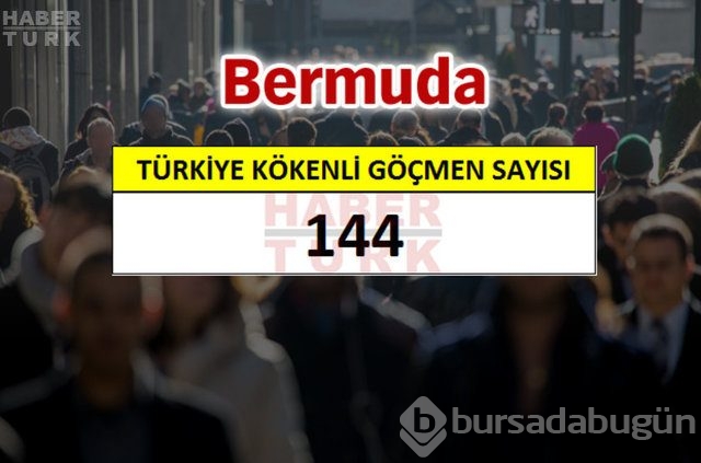 Hangi ülkede kaç Türk yaşıyor?