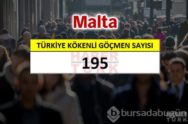 Hangi ülkede kaç Türk yaşıyor?