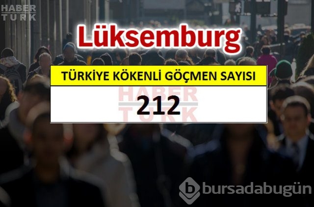 Hangi ülkede kaç Türk yaşıyor?
