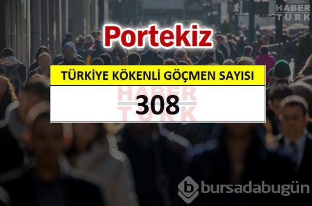 Hangi ülkede kaç Türk yaşıyor?
