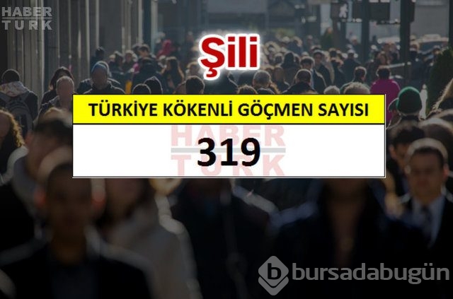 Hangi ülkede kaç Türk yaşıyor?