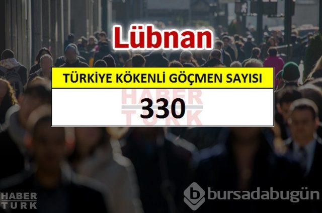 Hangi ülkede kaç Türk yaşıyor?