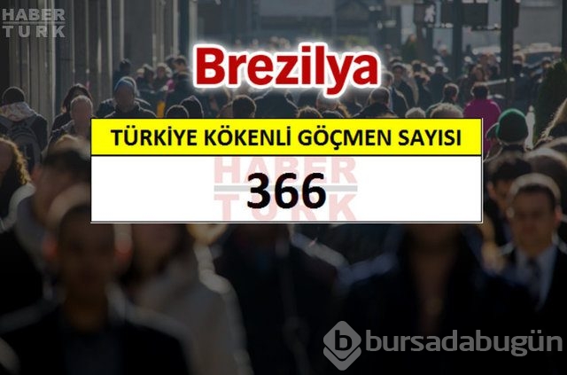 Hangi ülkede kaç Türk yaşıyor?