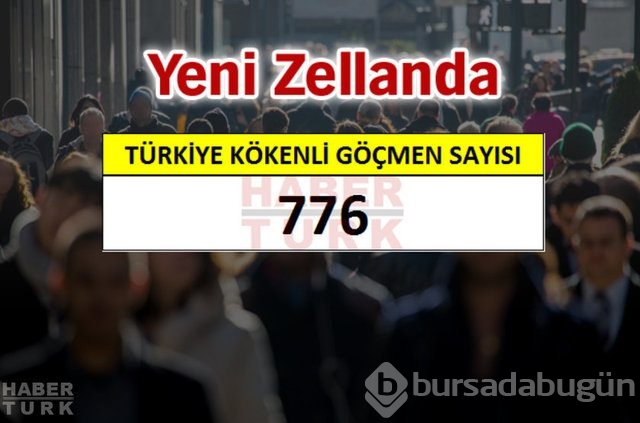 Hangi ülkede kaç Türk yaşıyor?