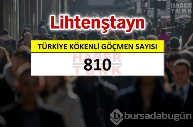 Hangi ülkede kaç Türk yaşıyor?