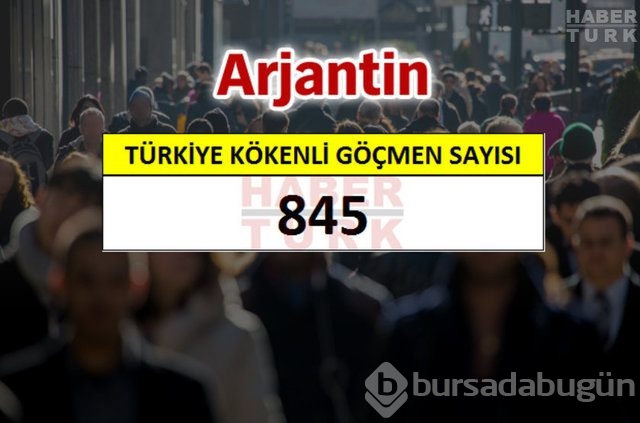 Hangi ülkede kaç Türk yaşıyor?