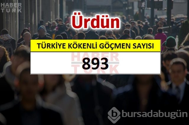 Hangi ülkede kaç Türk yaşıyor?
