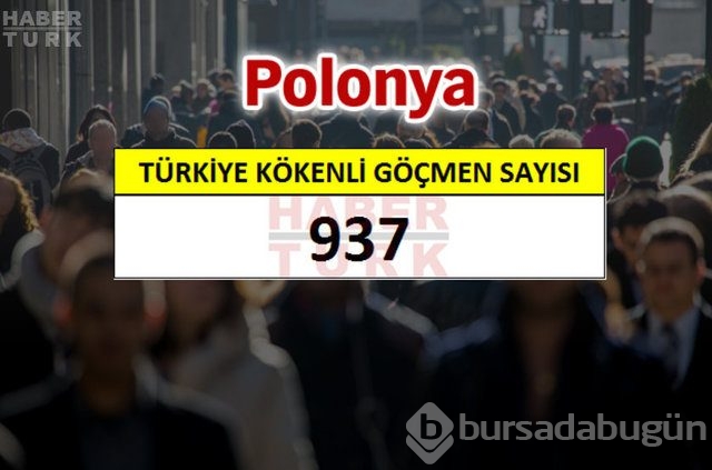 Hangi ülkede kaç Türk yaşıyor?