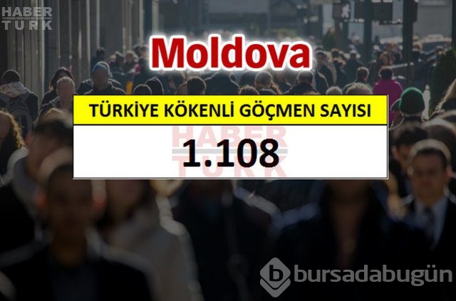 Hangi ülkede kaç Türk yaşıyor?