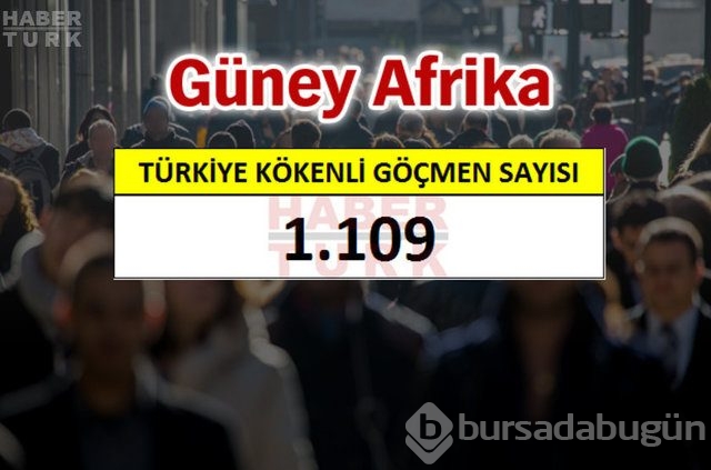 Hangi ülkede kaç Türk yaşıyor?