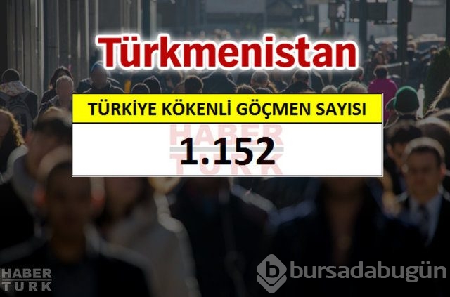 Hangi ülkede kaç Türk yaşıyor?