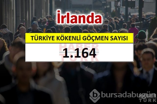 Hangi ülkede kaç Türk yaşıyor?