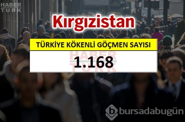 Hangi ülkede kaç Türk yaşıyor?