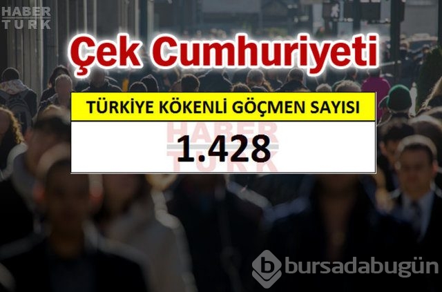Hangi ülkede kaç Türk yaşıyor?