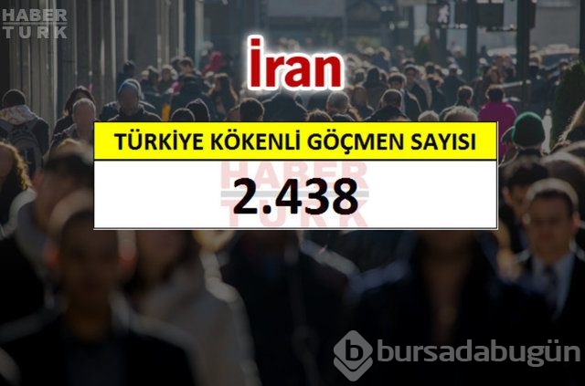 Hangi ülkede kaç Türk yaşıyor?