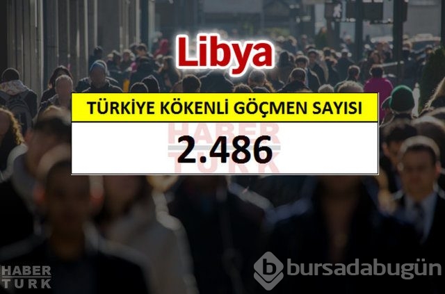 Hangi ülkede kaç Türk yaşıyor?