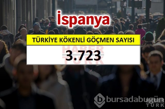 Hangi ülkede kaç Türk yaşıyor?