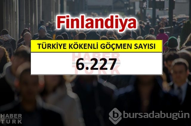 Hangi ülkede kaç Türk yaşıyor?