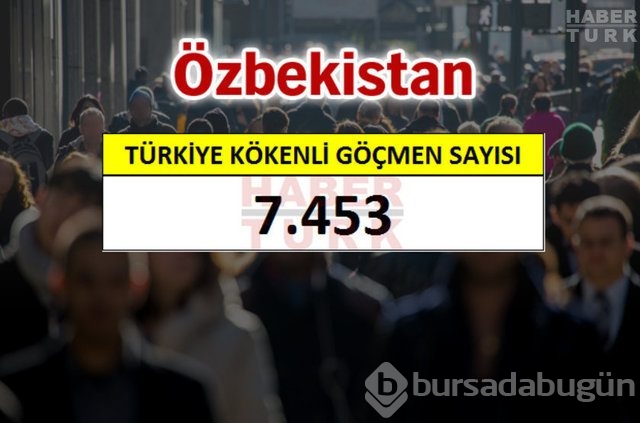 Hangi ülkede kaç Türk yaşıyor?
