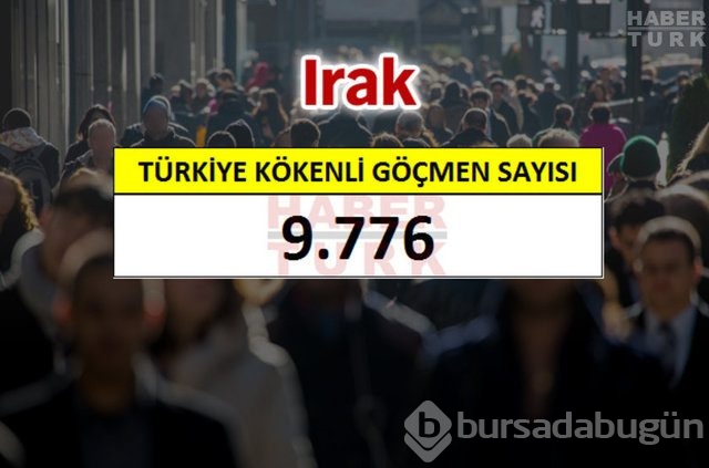 Hangi ülkede kaç Türk yaşıyor?