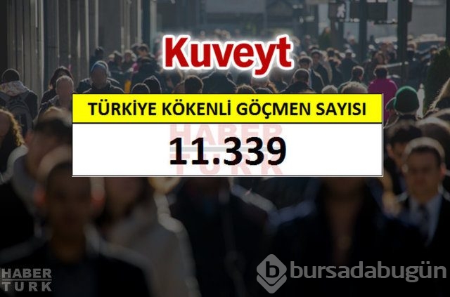 Hangi ülkede kaç Türk yaşıyor?
