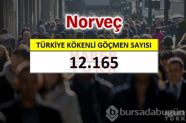 Hangi ülkede kaç Türk yaşıyor?