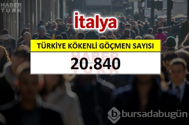 Hangi ülkede kaç Türk yaşıyor?