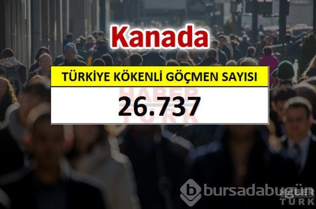 Hangi ülkede kaç Türk yaşıyor?