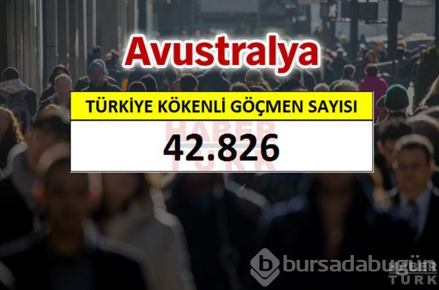 Hangi ülkede kaç Türk yaşıyor?