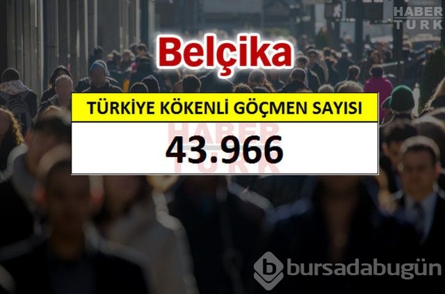 Hangi ülkede kaç Türk yaşıyor?