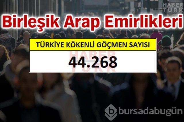Hangi ülkede kaç Türk yaşıyor?