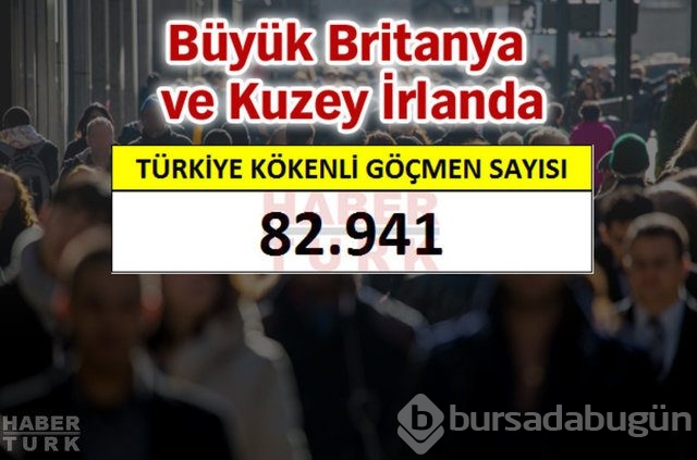 Hangi ülkede kaç Türk yaşıyor?