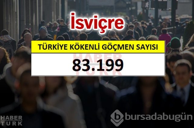Hangi ülkede kaç Türk yaşıyor?