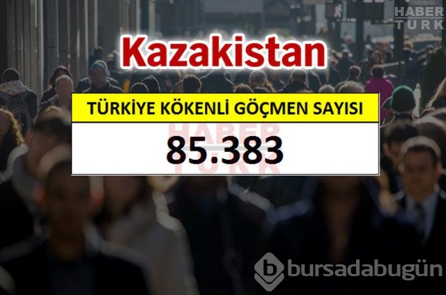 Hangi ülkede kaç Türk yaşıyor?