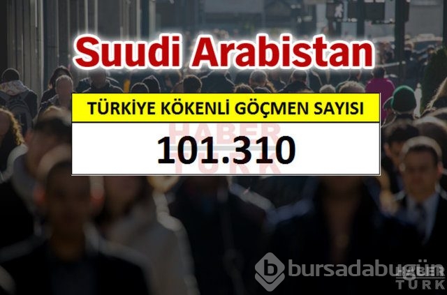 Hangi ülkede kaç Türk yaşıyor?