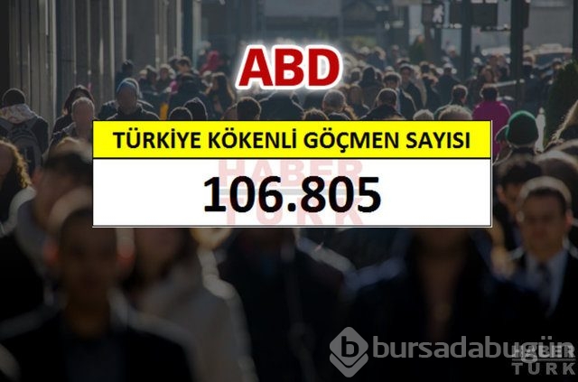 Hangi ülkede kaç Türk yaşıyor?